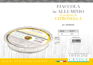 FIACCOLA IN ALLUMINIO MAXI CITRO.16,5X2,2 PZ.36
